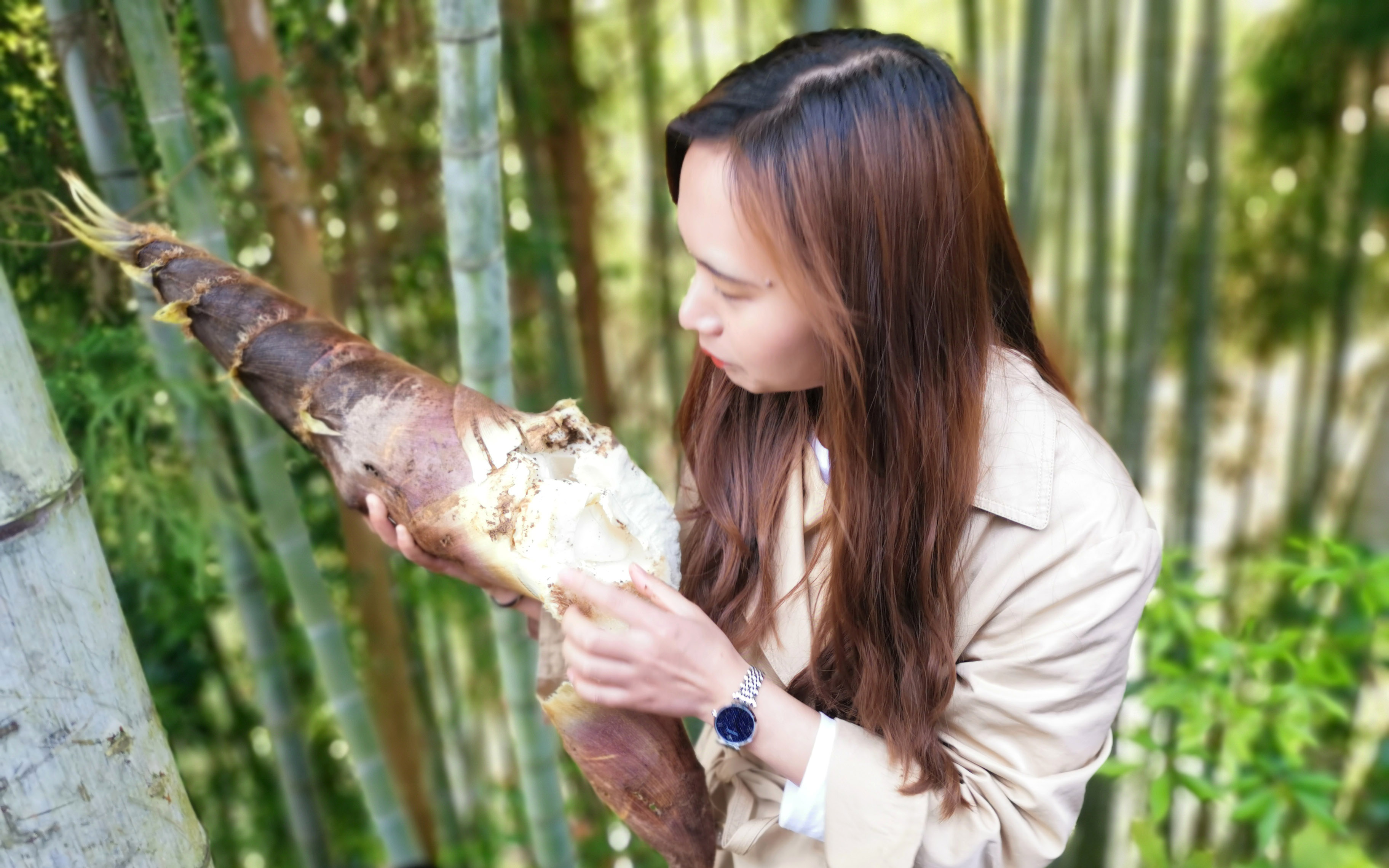 1619050575439093374.jpg 1619050575439093374.jpg